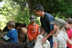 Kindergeburtstag mit Lamas Kindergeburtstag mit Lamas